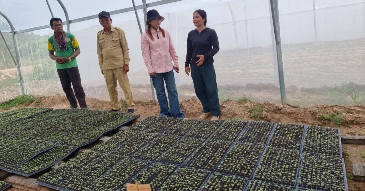 បទយកការណ៍៖ កសិដ្ឋានបន្លែនិងផ្លែឈើសុវត្ថិភាពមានជ័យ៖